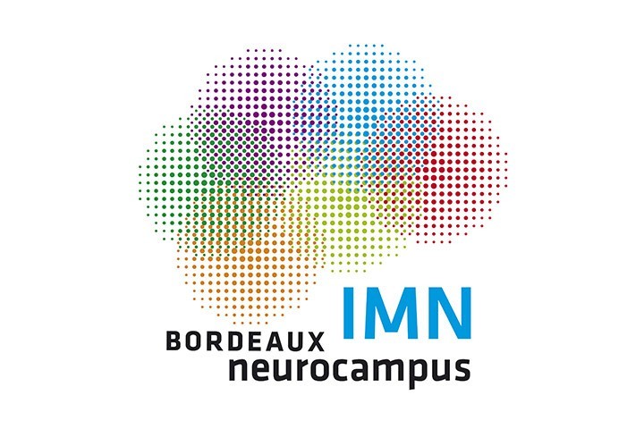 Neurocampus Chair - IMN