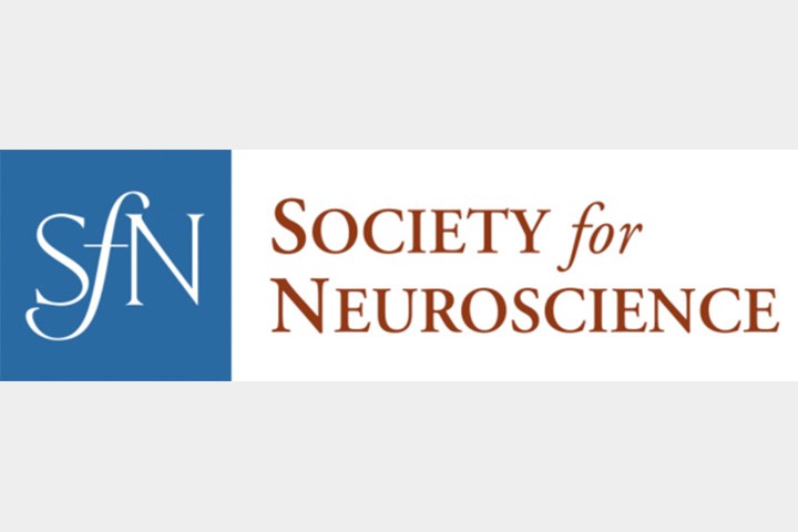 Abstract submission for Neuroscience 2022