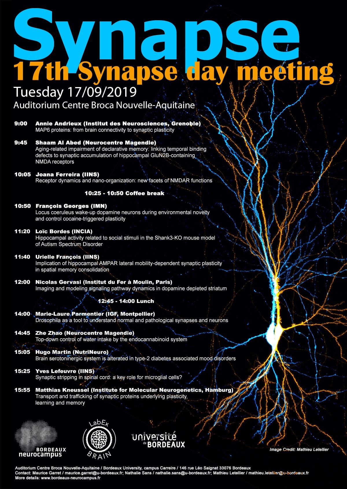 Affiche_synapse_day_2019