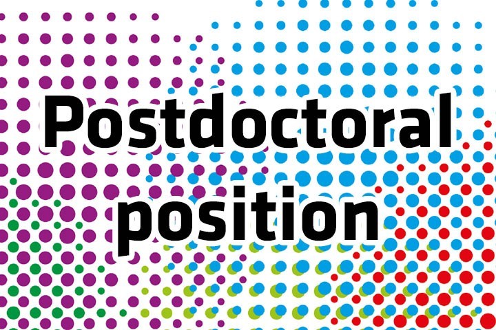 Post-doctoral position