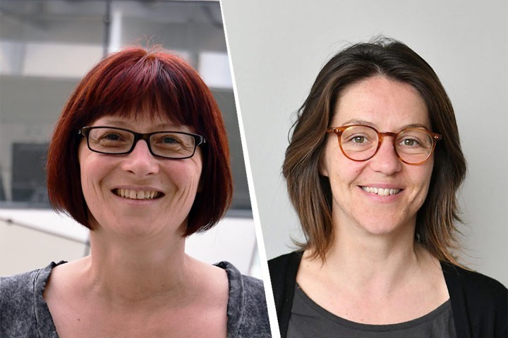 Stéphanie Caillé Garnier et Karine Guillem lauréates de l'Institut National du Cancer