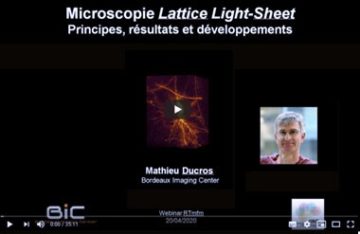 Webinar sur le lattice light sheet par Mathieu Ducros