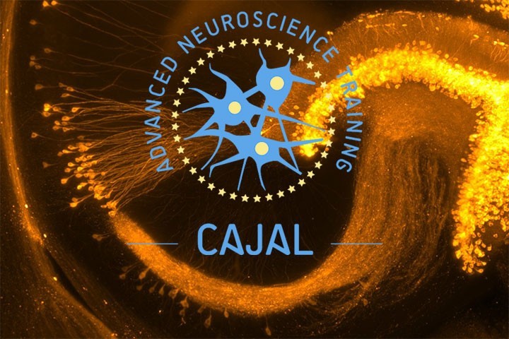 CAJAL course: Neural circuit basis of computation and behaviour