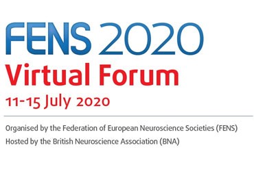FENS 2020 Virtual Forum: Last days to apply for a diversity grant!