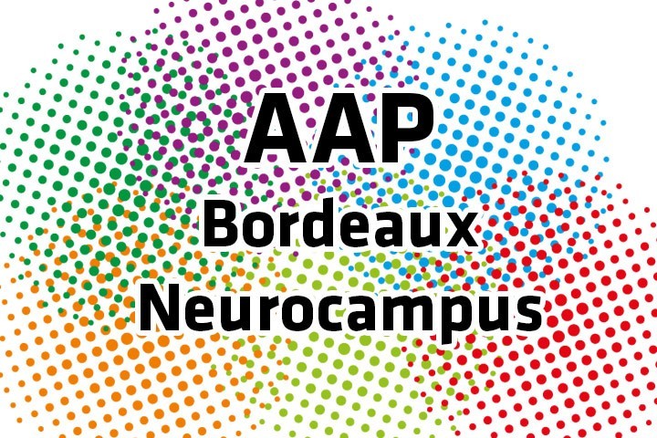 Bordeaux Neurocampus Doctoral Research Award 2021