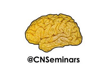 Clinical neuroanatomy seminars