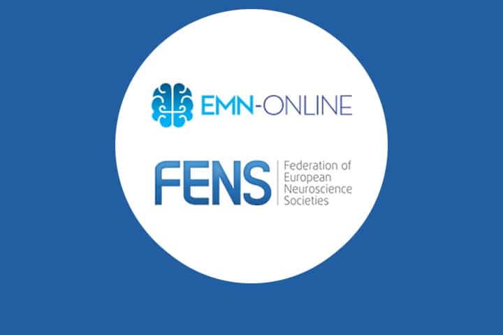 EMN-Online Master awarded with NENS Education & Training Cluster grant