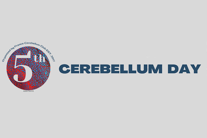 5th cerebellum day