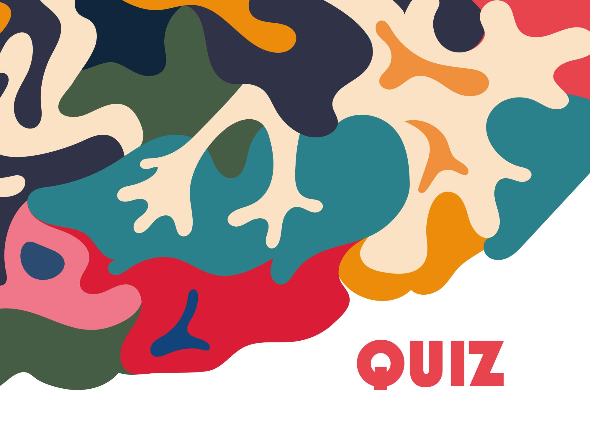 Quiz: “Who wants to be a neuroscientist?”