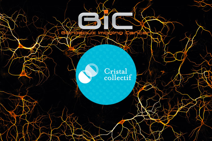 Le BIC lauréat d'un cristal collectif du CNRS