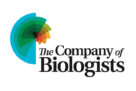 Company of Biologists – Travelling Fellowships